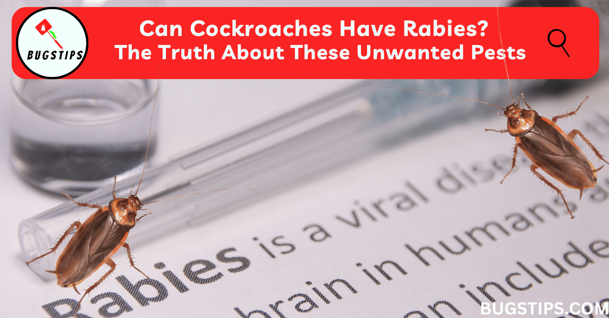 Can Cockroaches Have Rabies?