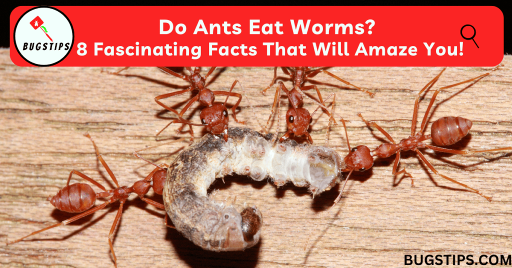 Do Ants Eat Worms? 8 Fascinating Facts That Will Amaze You