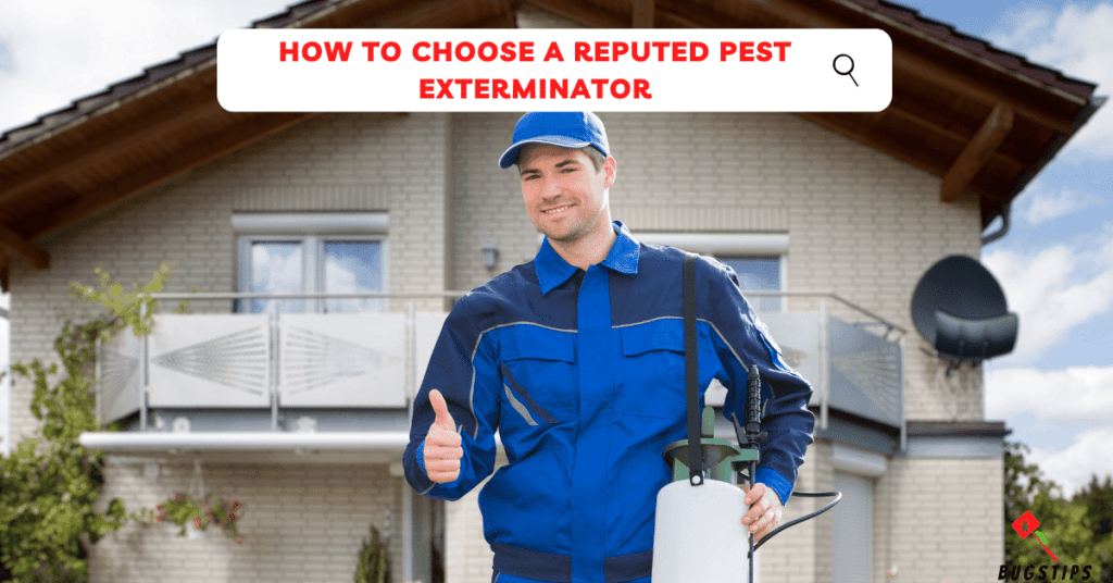 How to Choose a Reputed Pest Exterminator