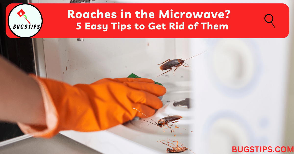 Roaches in the Microwave? 5 Easy Tips to Get Rid of Them