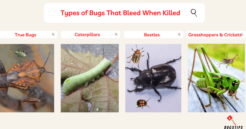 what bugs bleed when you kill them