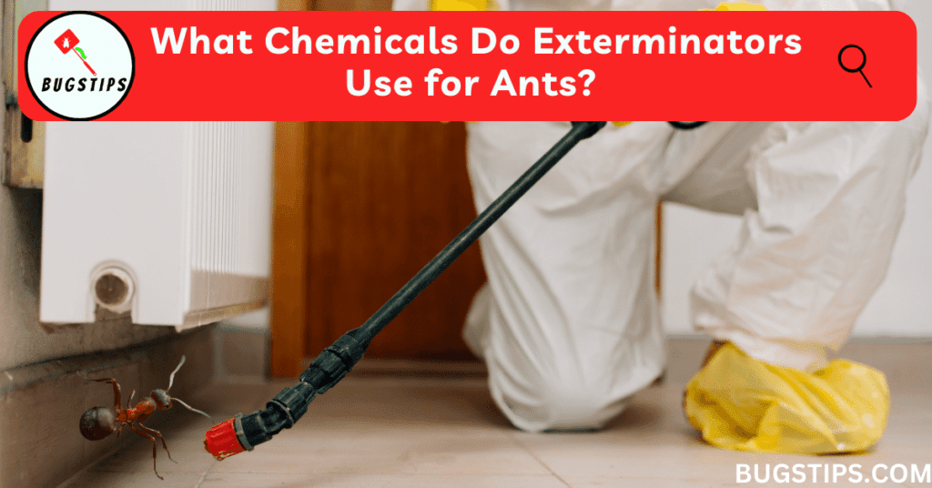 What Chemicals Do Exterminators Use for Ants? 14 Powerful Ant Control Chemicals Used by Exterminators