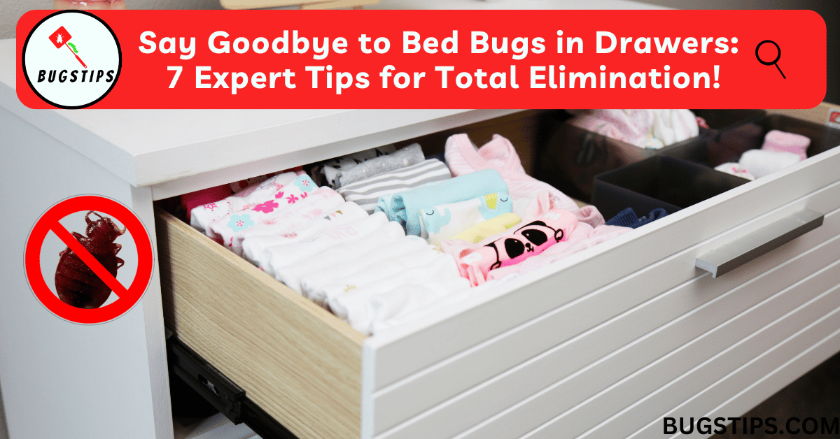 Say Goodbye to Bed Bugs in Drawers: 7 Expert Tips for Total Elimination!