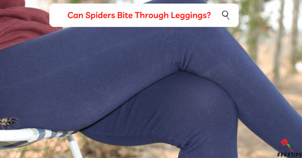 Can Spiders Bite Through Leggings?