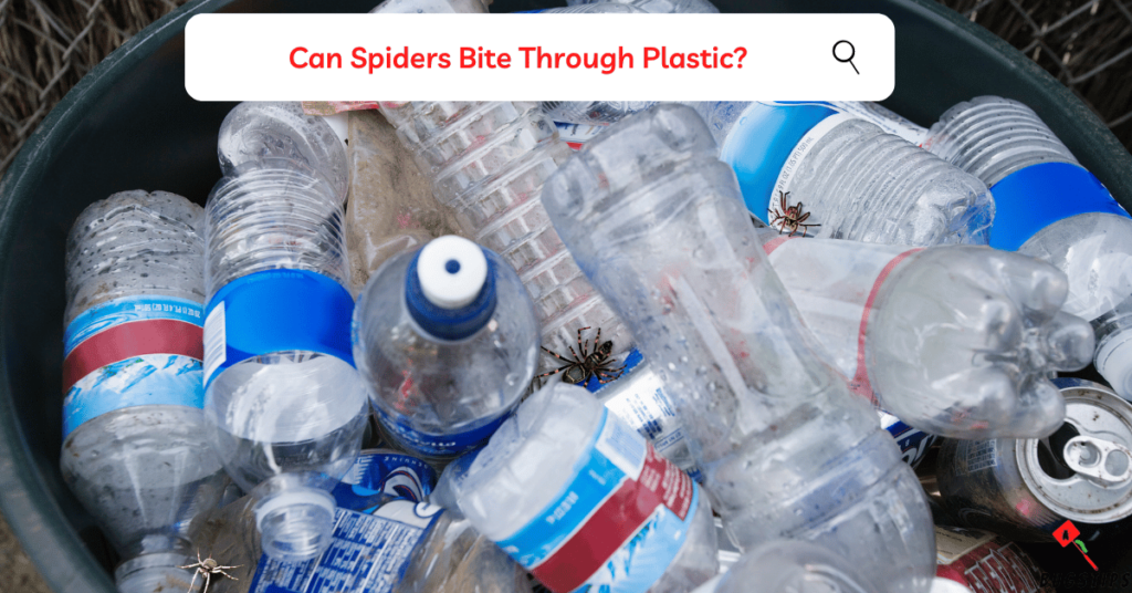 Can Spiders Bite Through Plastic?