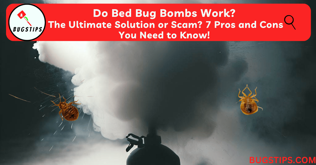 Do Bed Bug Bombs Work?