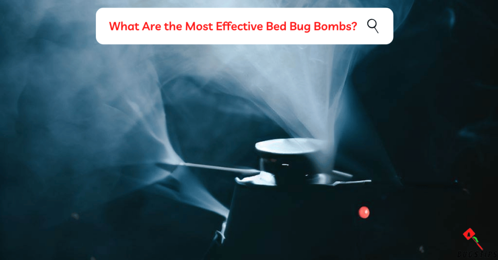 Do bed bug bombs work? What Are the Most Effective Bed Bug Bombs?