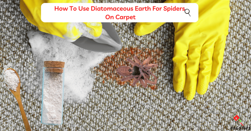Does Diatomaceous Earth Kill Spiders How To Use Diatomaceous Earth For Spiders On Carpet