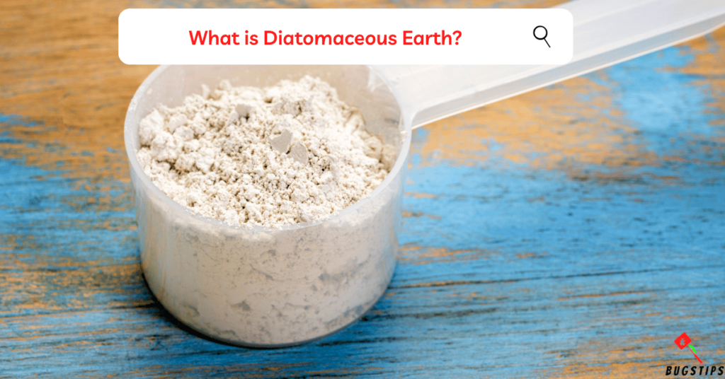 Does Diatomaceous Earth Kill Spiders? what is Does Diatomaceous Earth ?