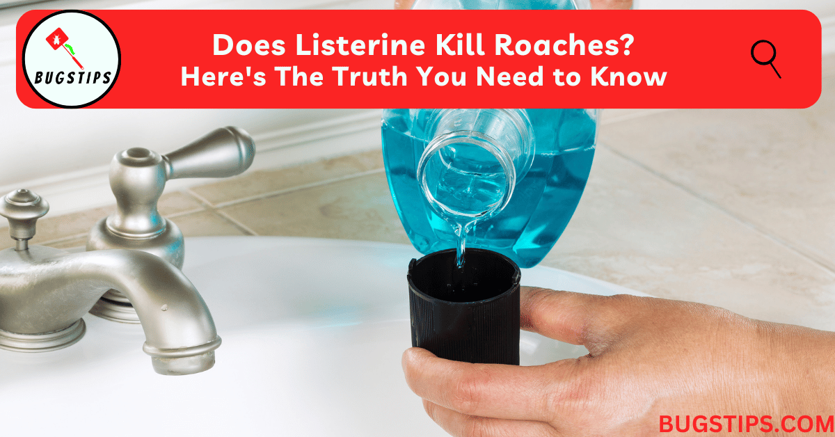 Does Listerine Kill Roaches?