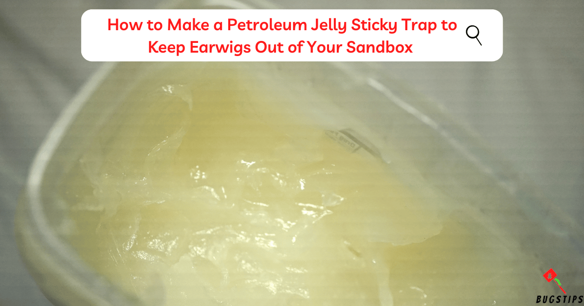 How to Make a Petroleum Jelly Sticky Trap to Keep Earwigs Out of Your Sandbox