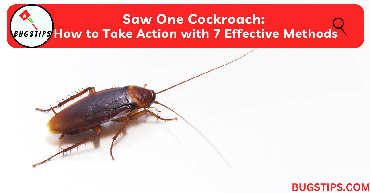 saw one Cockroach