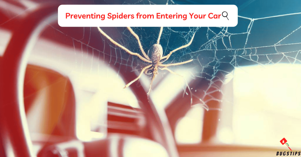 spiders in car: Preventing Spiders from Entering Your Car