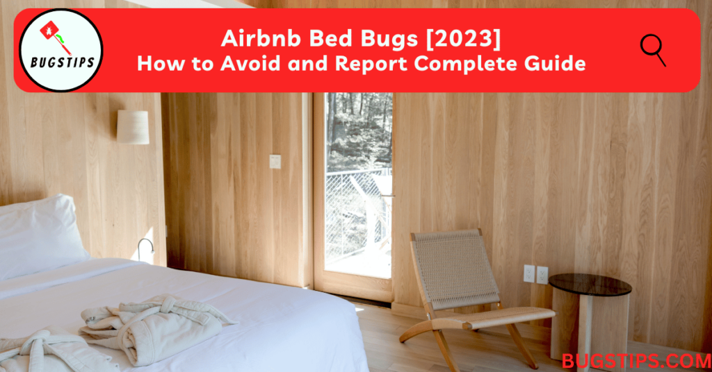 Airbnb Bed Bugs [2023] How to Avoid and Report Complete Guide