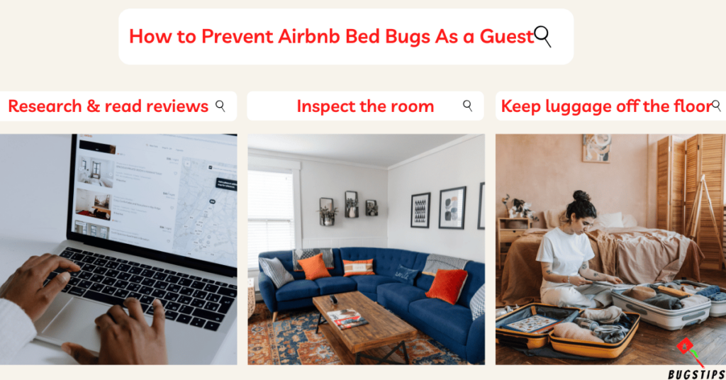 Airbnb Bed Bugs: How to Prevent Airbnb Bed Bugs As a Guest
