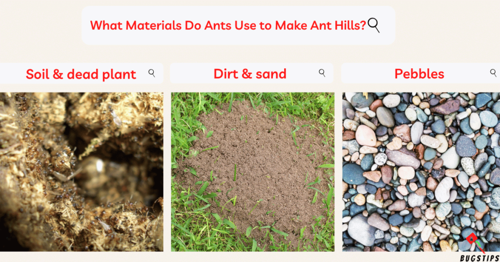 Ant Hills What Materials Do Ants Use to Make Ant Hills