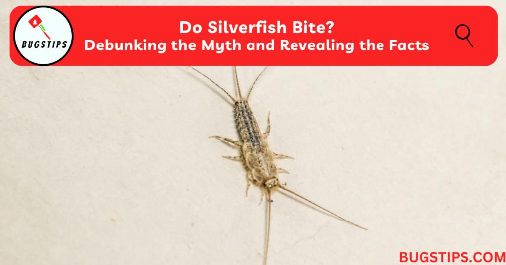 Do Silverfish Bite?