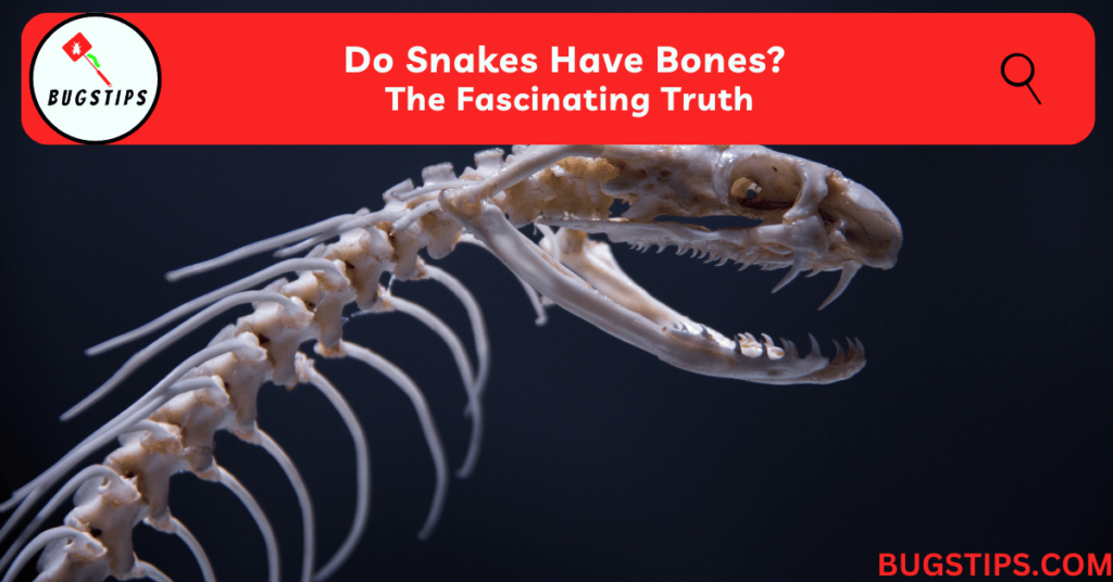 Do Snakes Have Bones? | The Fascinating Truth