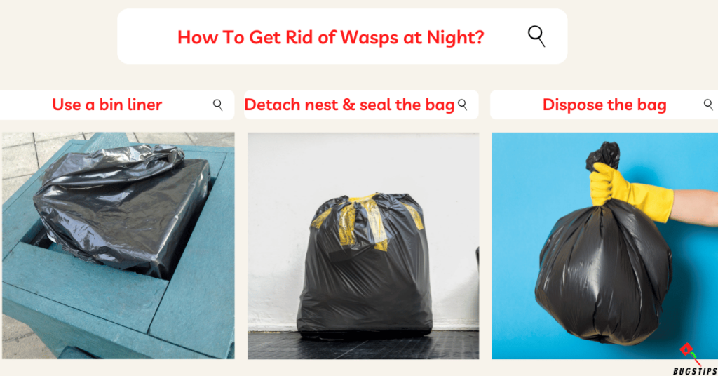 How To Get Rid of Wasps at Night