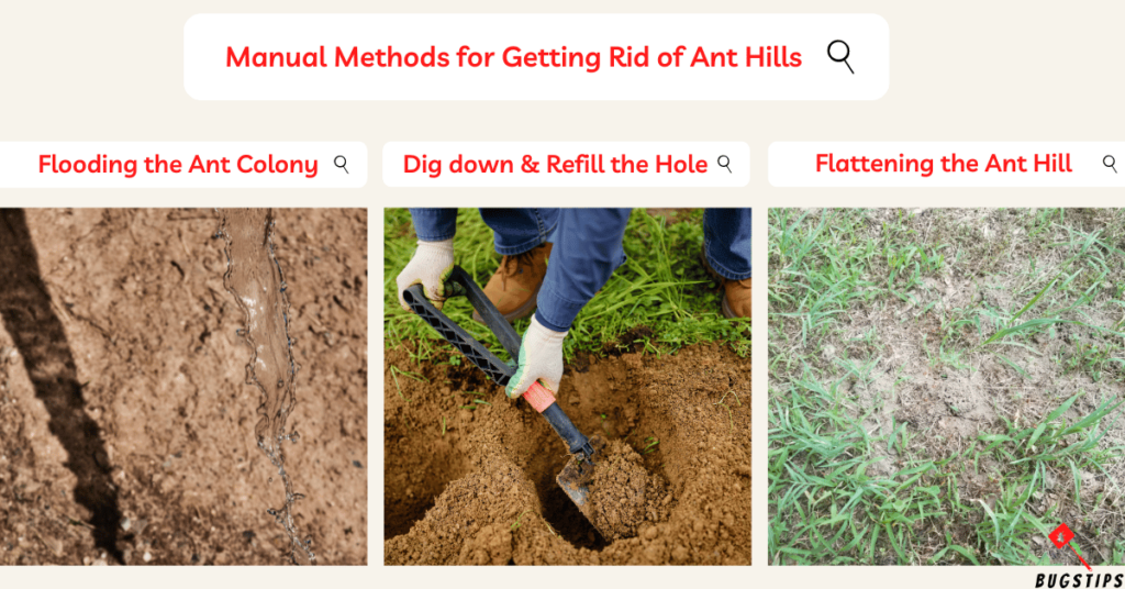 How to Get Rid of Ant Hills: Manual Methods for Getting Rid of Ant Hills