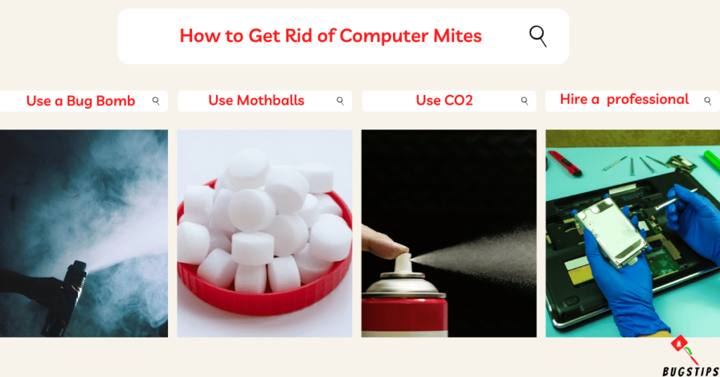  How to Get Rid of Computer Mites
