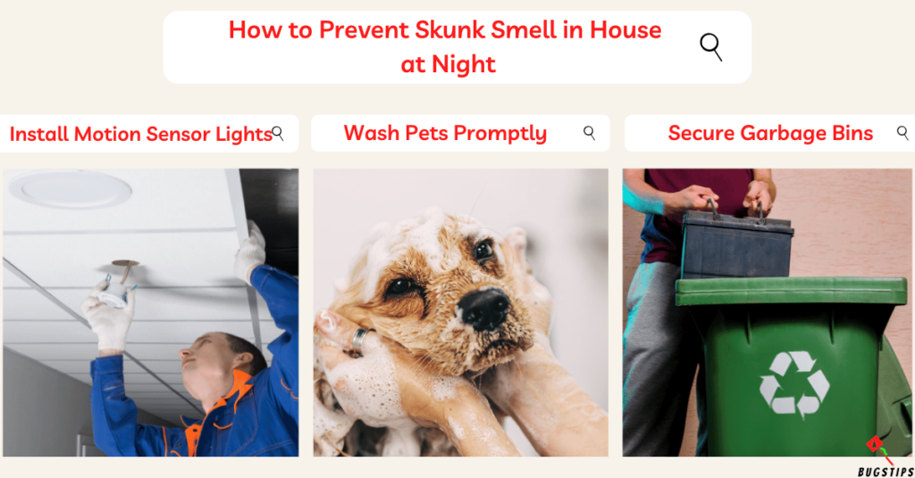 How to Prevent Skunk Smell in House 
at Night