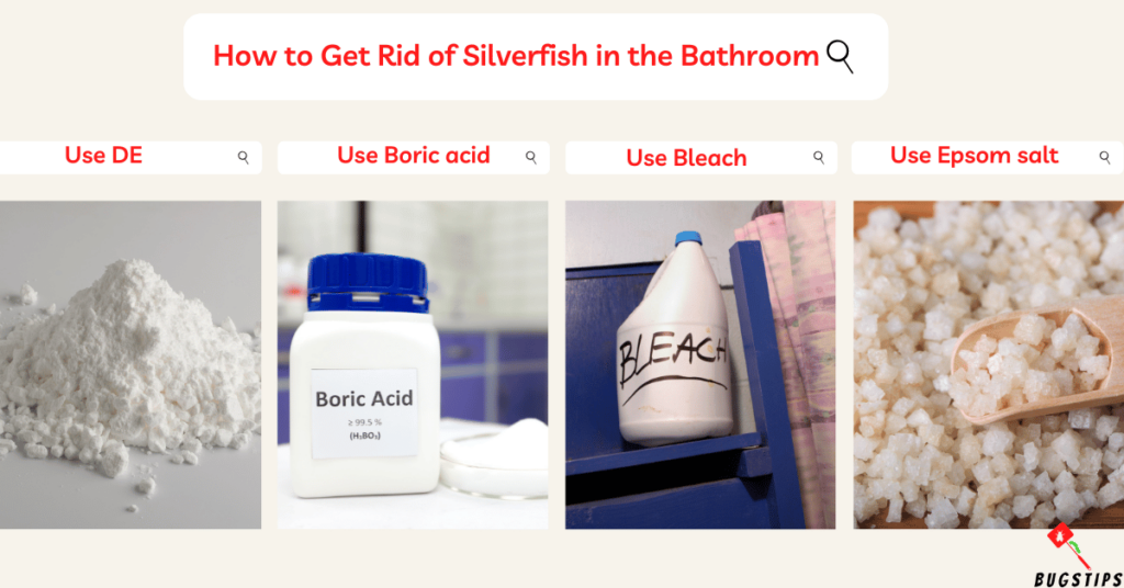 Silverfish in Bathrooms: How to Get Rid of Silverfish in the Bathroom