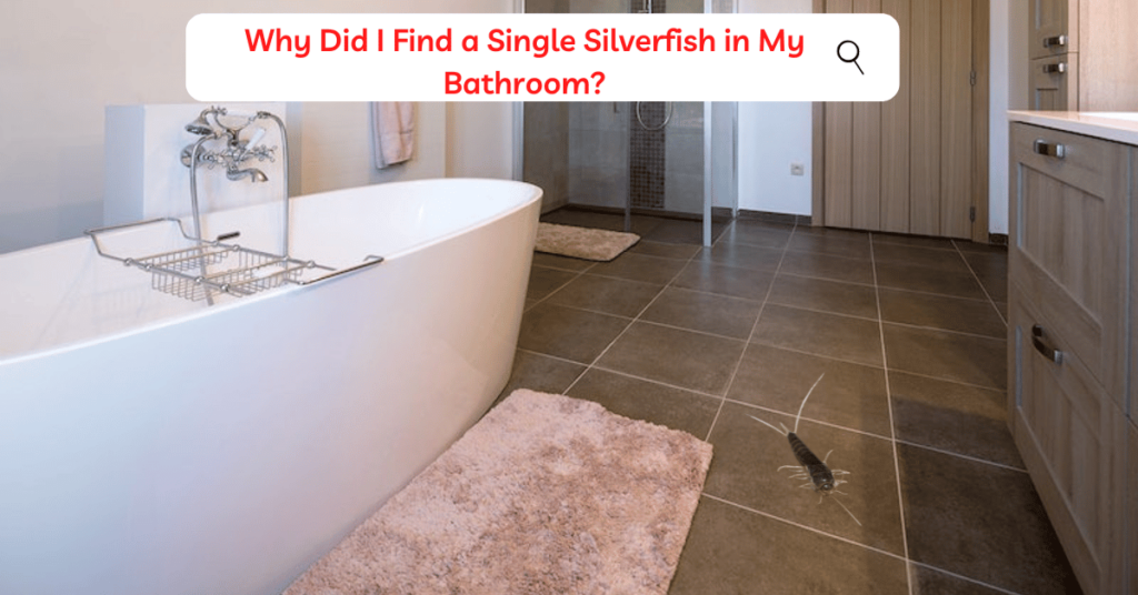 Silverfish in Bathrooms :Why Did I Find a Single Silverfish in My Bathroom?