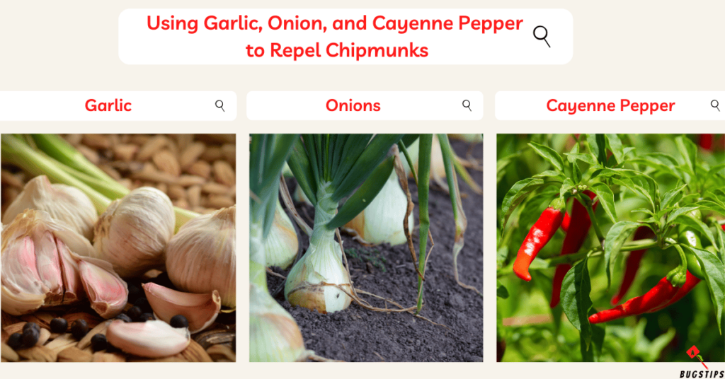 Using Garlic, Onion, and Cayenne Pepper
 to Repel Chipmunks