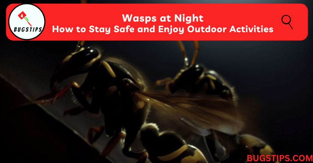 Wasps at Night: How to Stay Safe and Enjoy Outdoor Activities