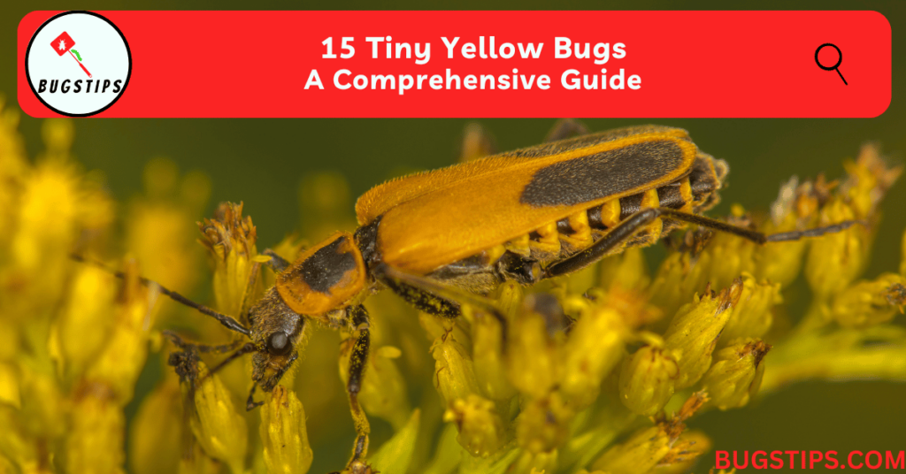 15 Tiny Yellow Bugs | A Comprehensive Guide