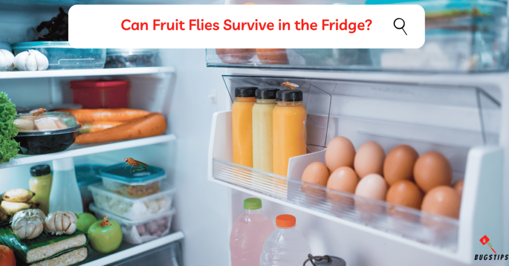 Fruit Flies in Fridge: Can Fruit Flies Survive in the Fridge?