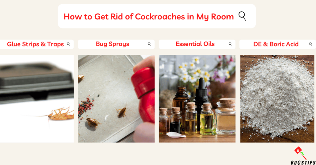 cockroach in my room can't sleep: How to Get Rid of Cockroaches in My Room
