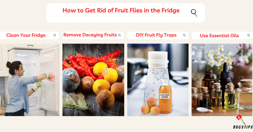 How to Get Rid of Fruit Flies in the Fridge