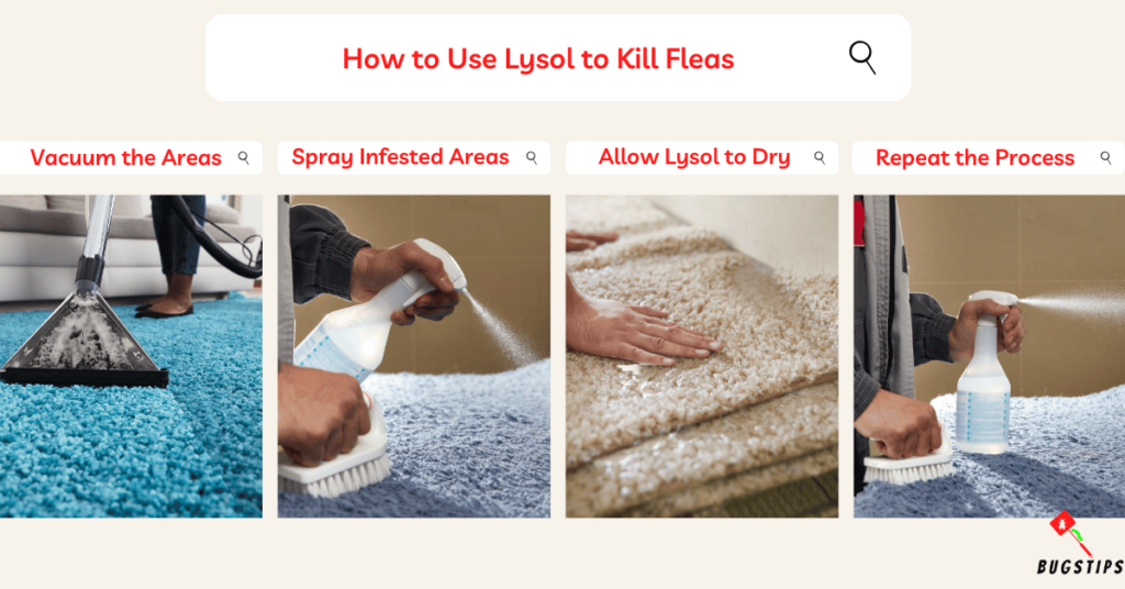 How to Use Lysol to Kill Fleas