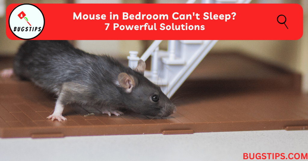 Mouse in Bedroom Can't Sleep 7 Powerful Solutions 7 Powerful Solutions