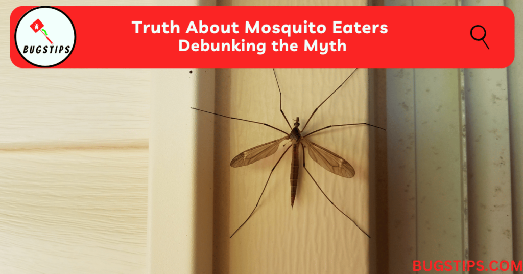 Truth About Mosquito Eaters