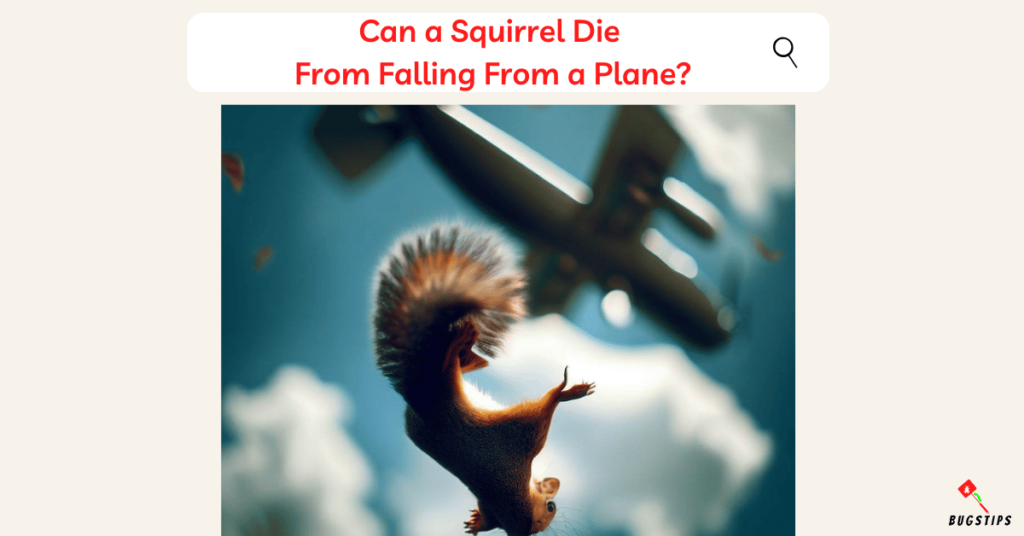 Can a Squirrel Die From Falling From a Plane?