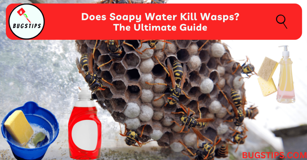 Does Soapy Water Kill Wasps? The Ultimate Guide