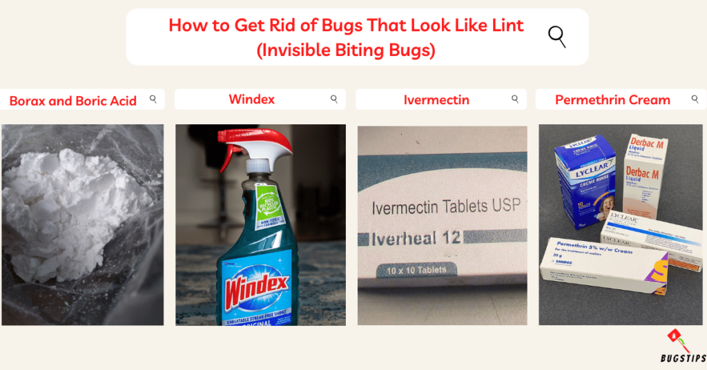 How to Get Rid of Bugs That Look Like Lint (Invisible Biting Bugs)