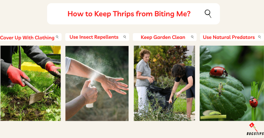 How to Keep Thrips from Biting Me? Thrips Bites