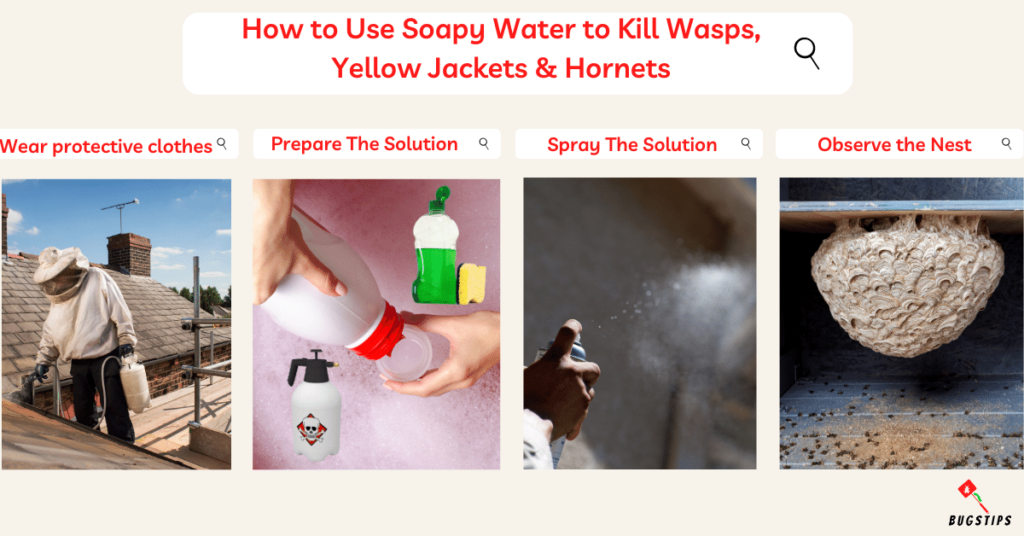  Does Soapy Water Kill Wasps? How to Use Soapy Water to Kill Wasps, Yellow Jackets & Hornets