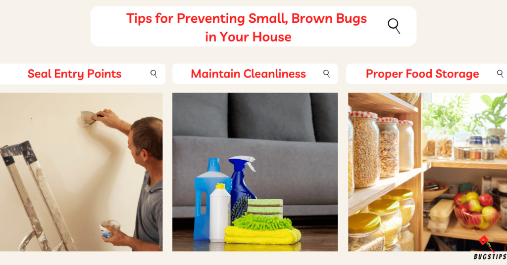 Tips for Preventing Small, Brown Bugs 
in Your House
