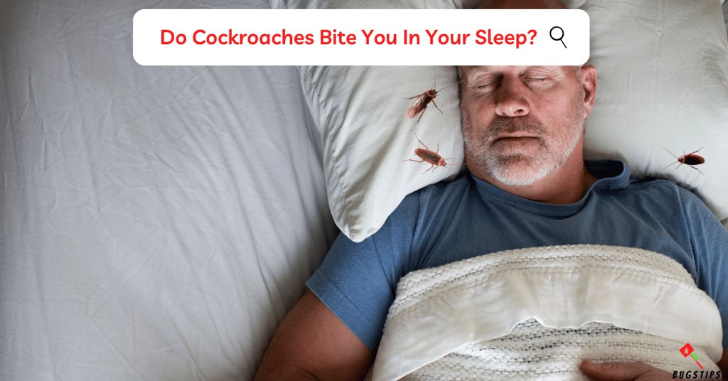 Do Cockroaches Bite You In Your Sleep?