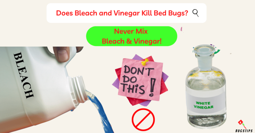 Does Bleach and Vinegar Kill Bed Bugs?
