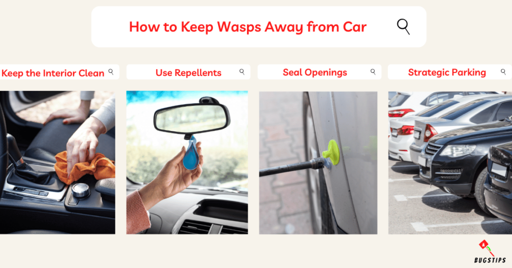 How to Keep Wasps Away from Car
