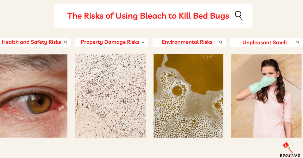 The Risks of Using Bleach to Kill Bed Bugs