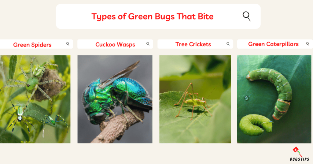 Green Bugs That Bite
