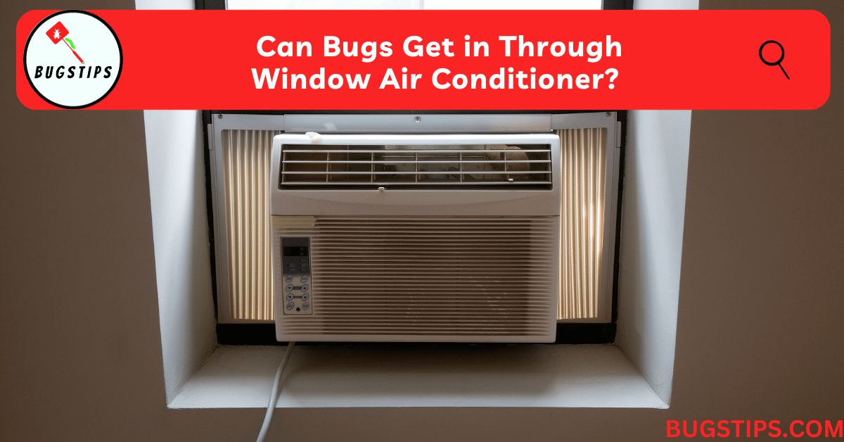 Can Bugs Get in Through Window Air Conditioner?