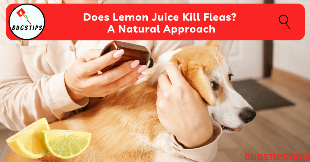 Does Lemon Juice Kill Fleas?